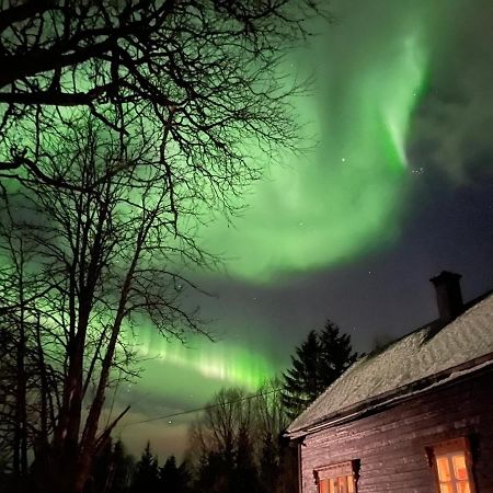 فيلا 100 Years Old Norwegian Log House In ترومسو المظهر الخارجي الصورة