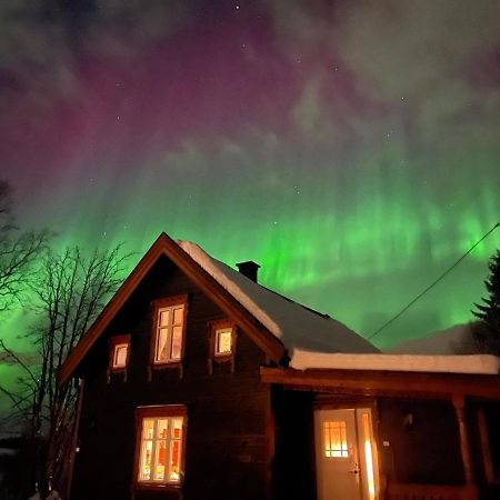 فيلا 100 Years Old Norwegian Log House In ترومسو المظهر الخارجي الصورة