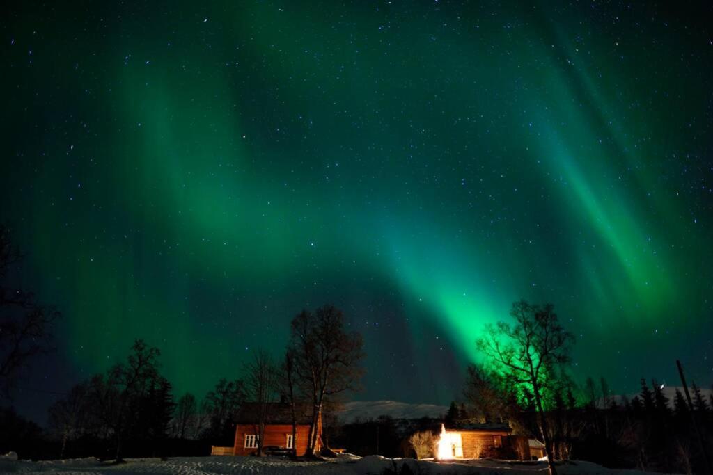 فيلا 100 Years Old Norwegian Log House In ترومسو المظهر الخارجي الصورة