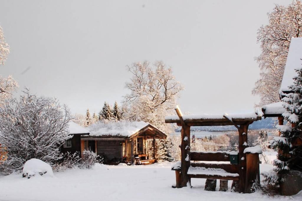 فيلا 100 Years Old Norwegian Log House In ترومسو المظهر الخارجي الصورة