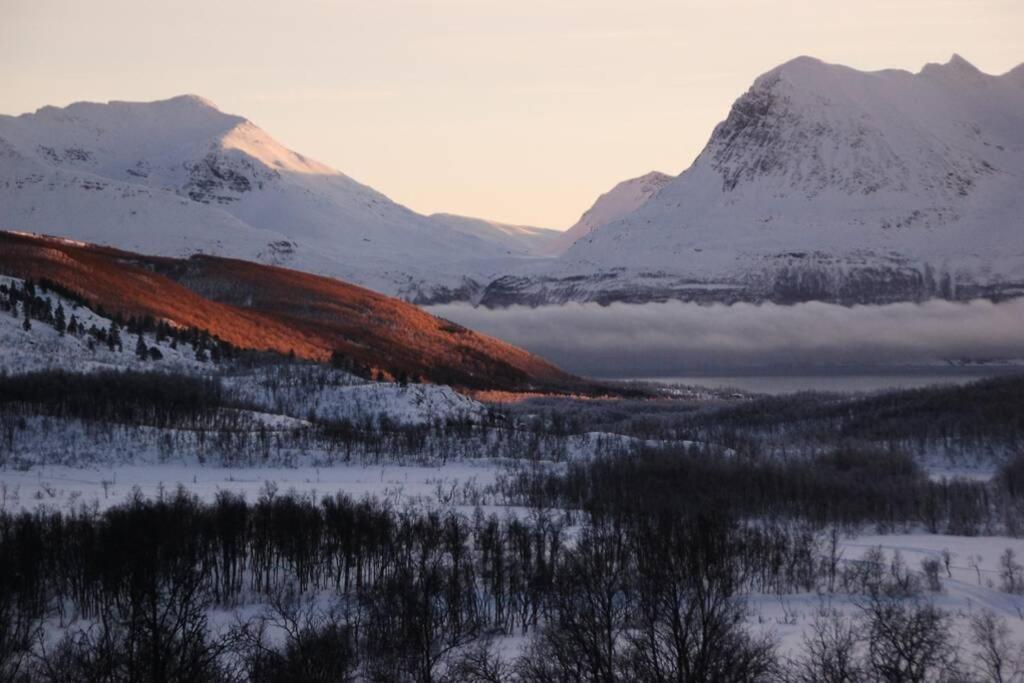 فيلا 100 Years Old Norwegian Log House In ترومسو المظهر الخارجي الصورة