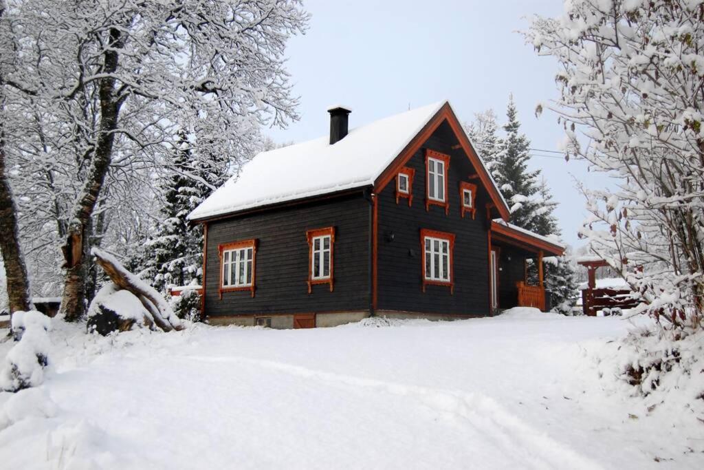 فيلا 100 Years Old Norwegian Log House In ترومسو المظهر الخارجي الصورة