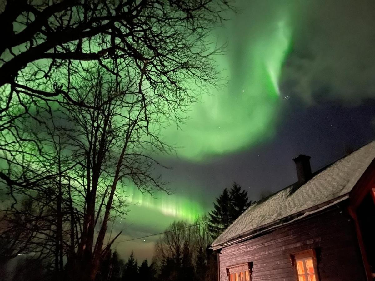 فيلا 100 Years Old Norwegian Log House In ترومسو المظهر الخارجي الصورة
